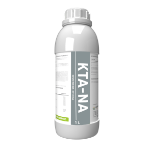 Kta-Na