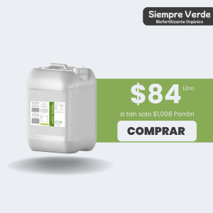 Siempre Verde Porrón 20L
