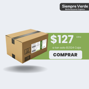 Siempre Verde - Caja 12L