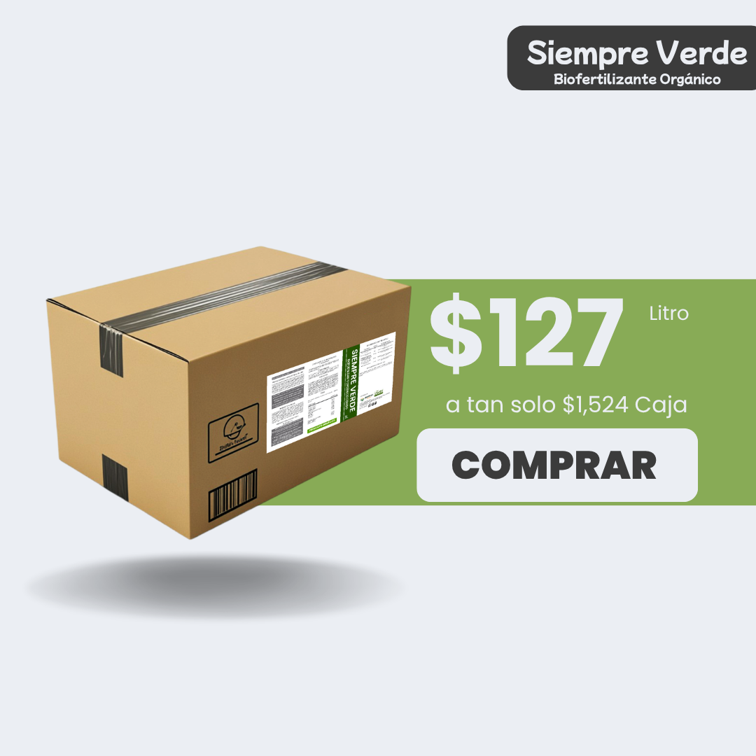 Siempre Verde - Caja 12L