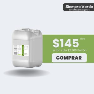 Siempre Verde - Porrón 20lt