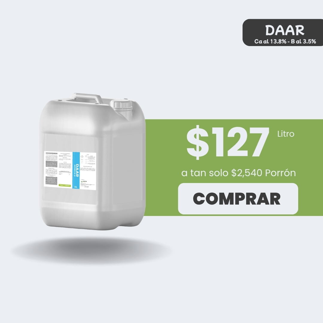 DAAR Super Ca-B - Porrón 20lt