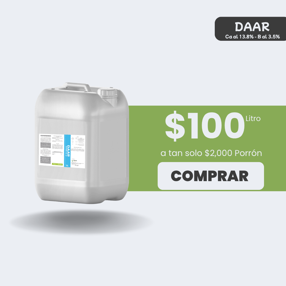 DAAR Super Ca-B - Porrón 20lt