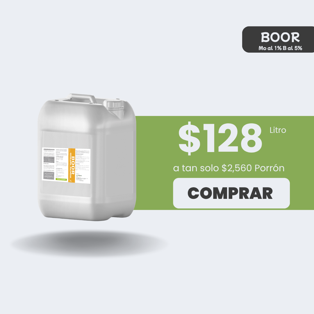 BOOR Boro - Molibdeno - Porrón 20lt