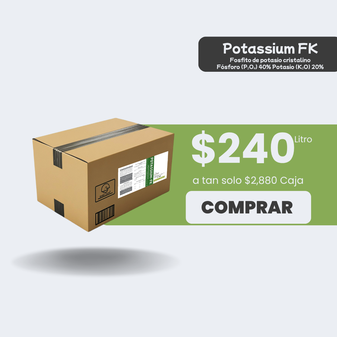 Potassium FK - Caja 12lt