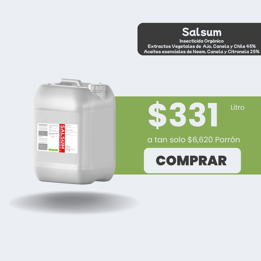 Salsum - Porrón 20lt