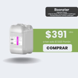 Boonster - Porrón 20lt
