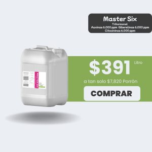 Master Six - Porrón 20lt