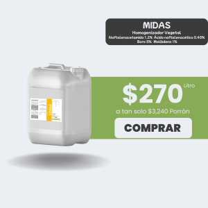 Midas