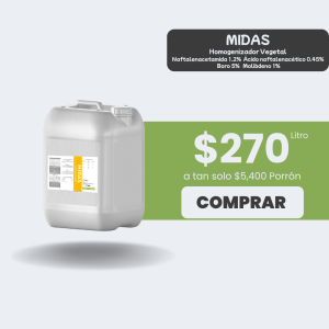 MIDAS