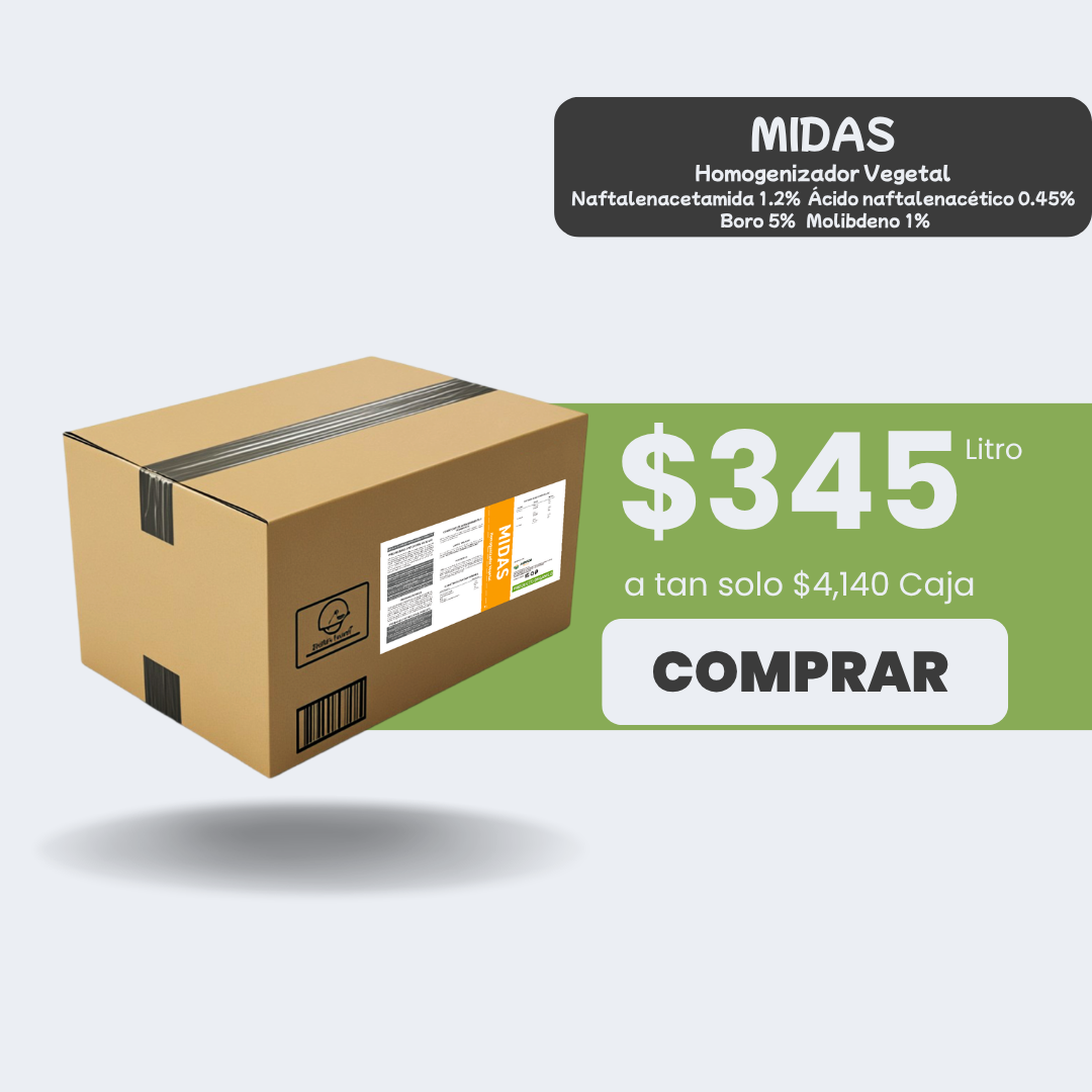 Midas - Caja 12lt