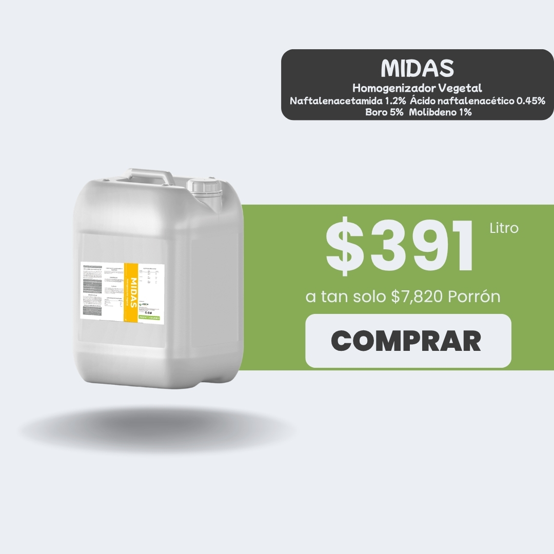 Midas - Porrón 20lt