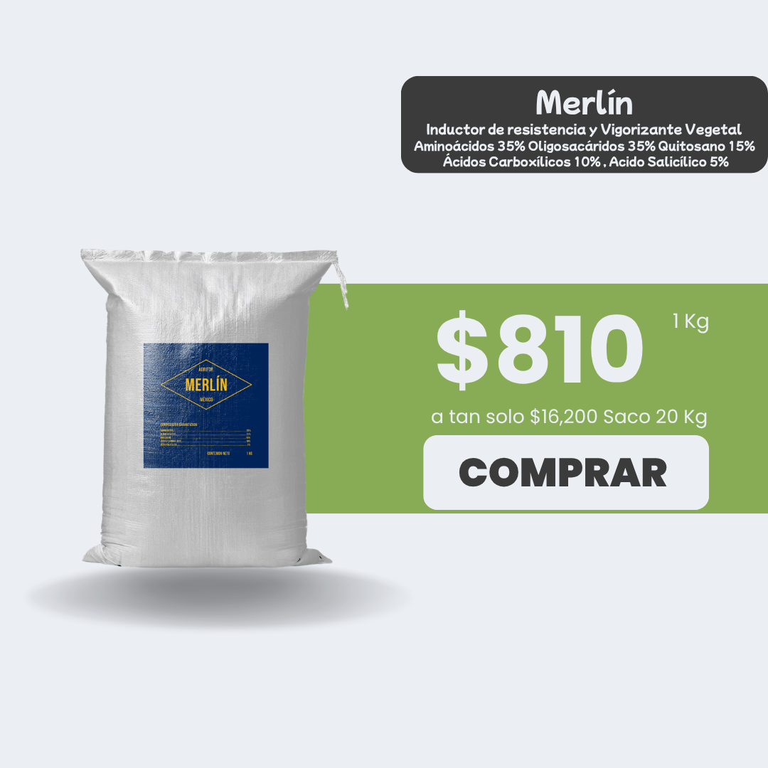 Merlin - Saco 20kg