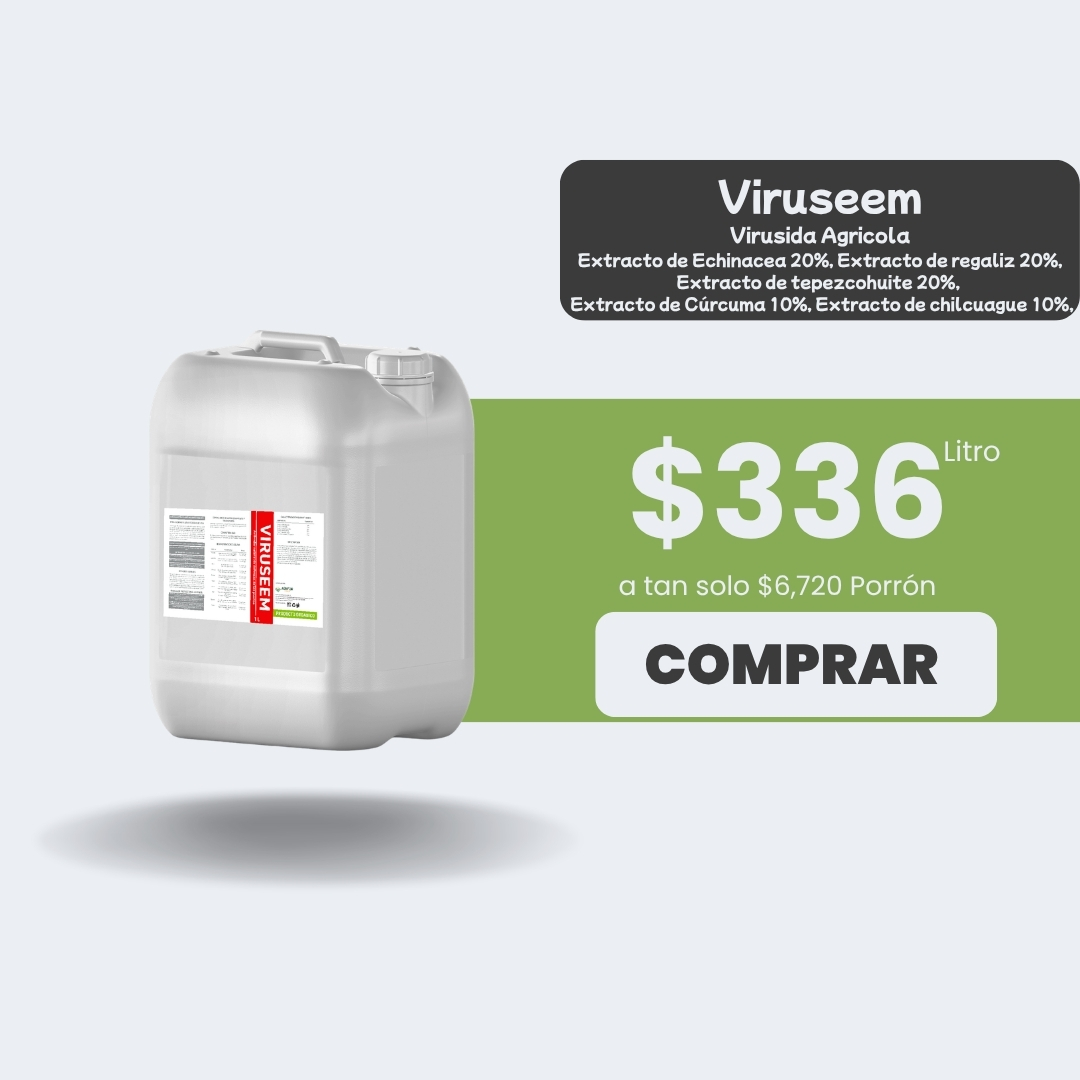 Viruseem - Porrón 20lt