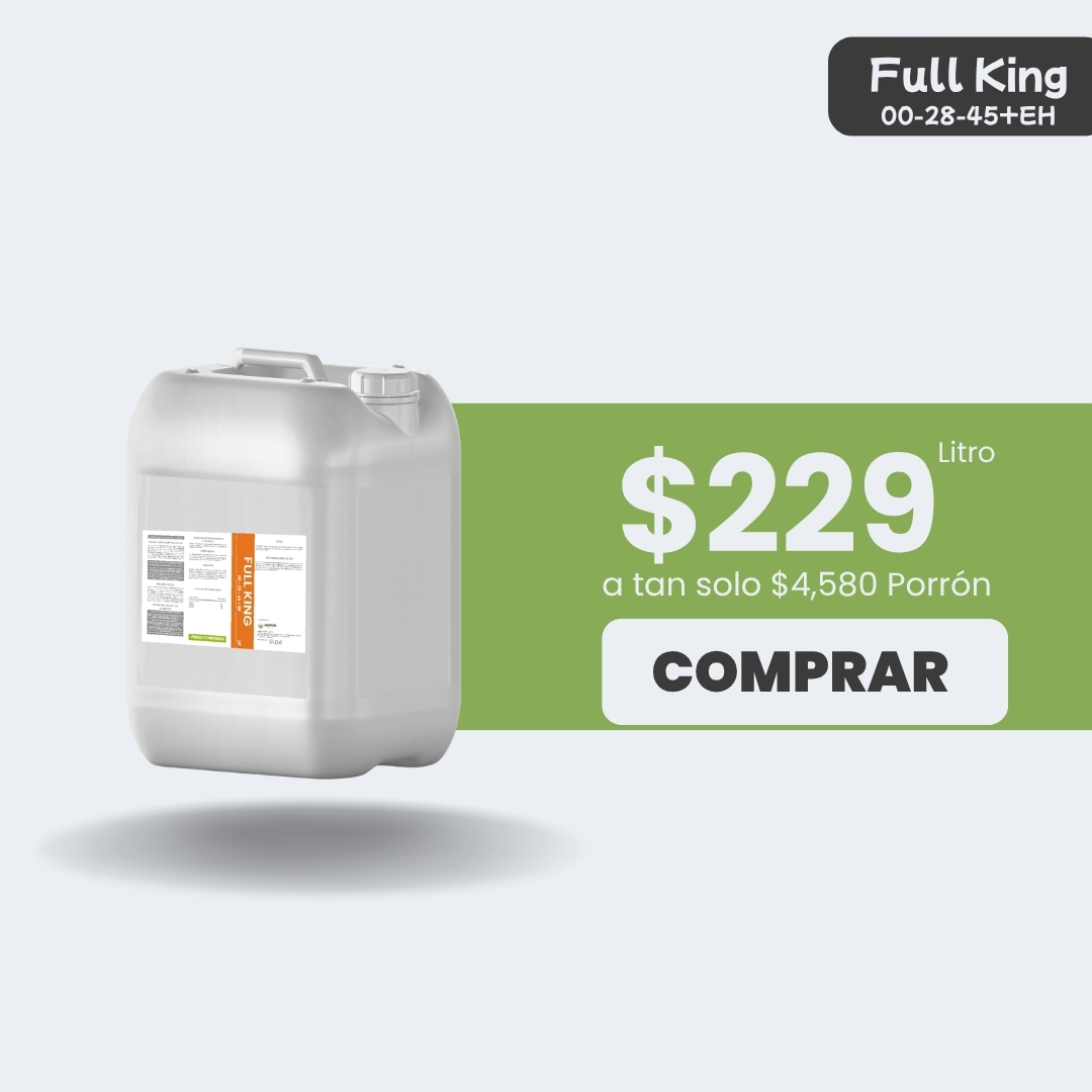 Full King - Porrón 20lt