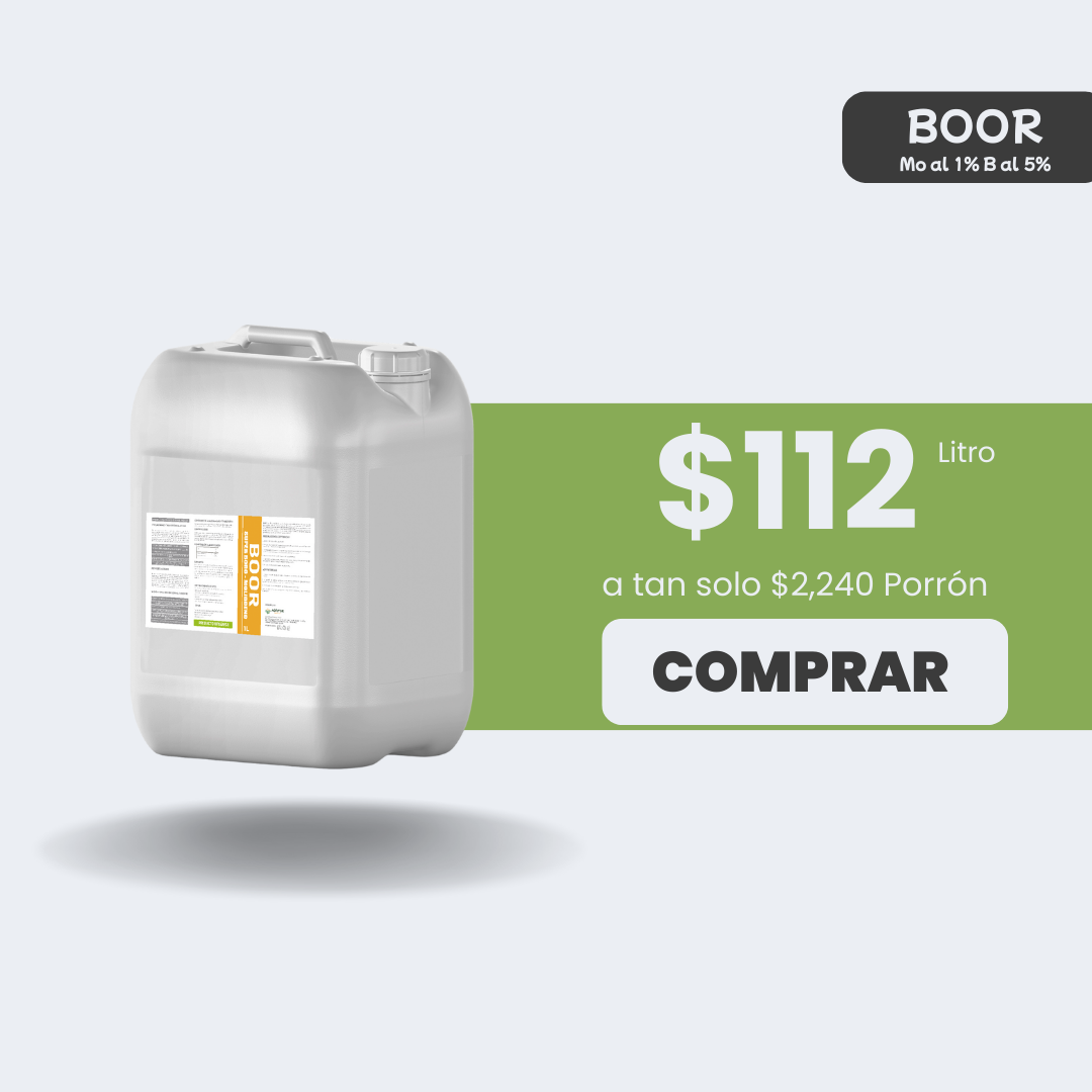 BOOR Boro - Molibdeno - Porrón 20lt