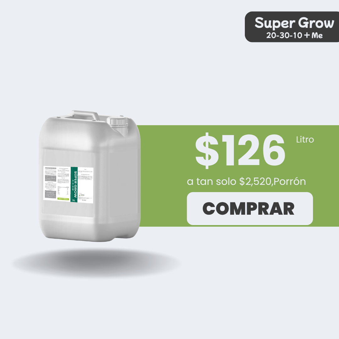 Súper Grow - Porrón 20lt