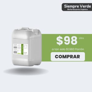 Siempre Verde - Porrón 20lt