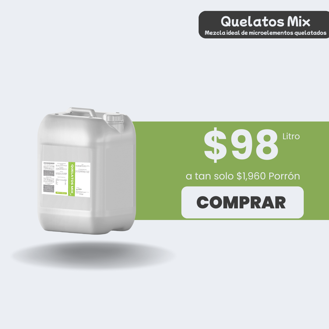 Quelatos Mix - Porrón 20lt