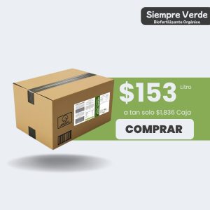 Siempre Verde - Caja 12L