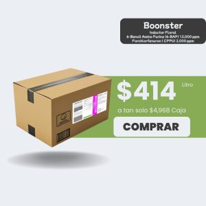 Boonster - Caja 12lt