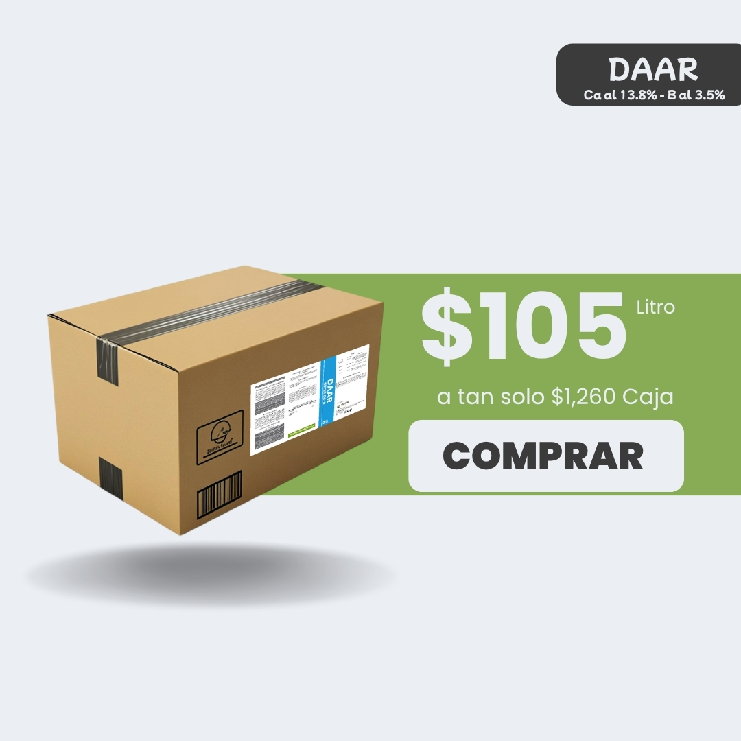 DAAR Super Ca-B - Caja 12lt