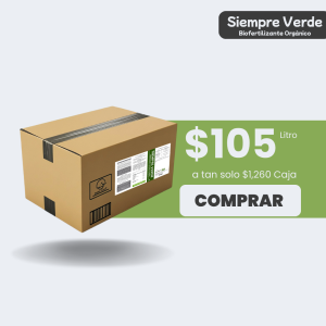 Siempre Verde - Caja 12L