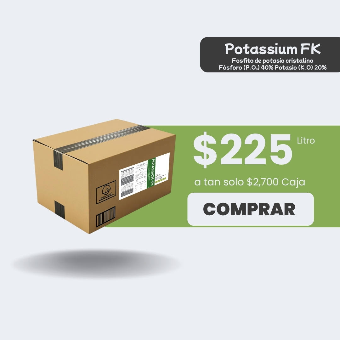 Potassium FK - Caja 12lt