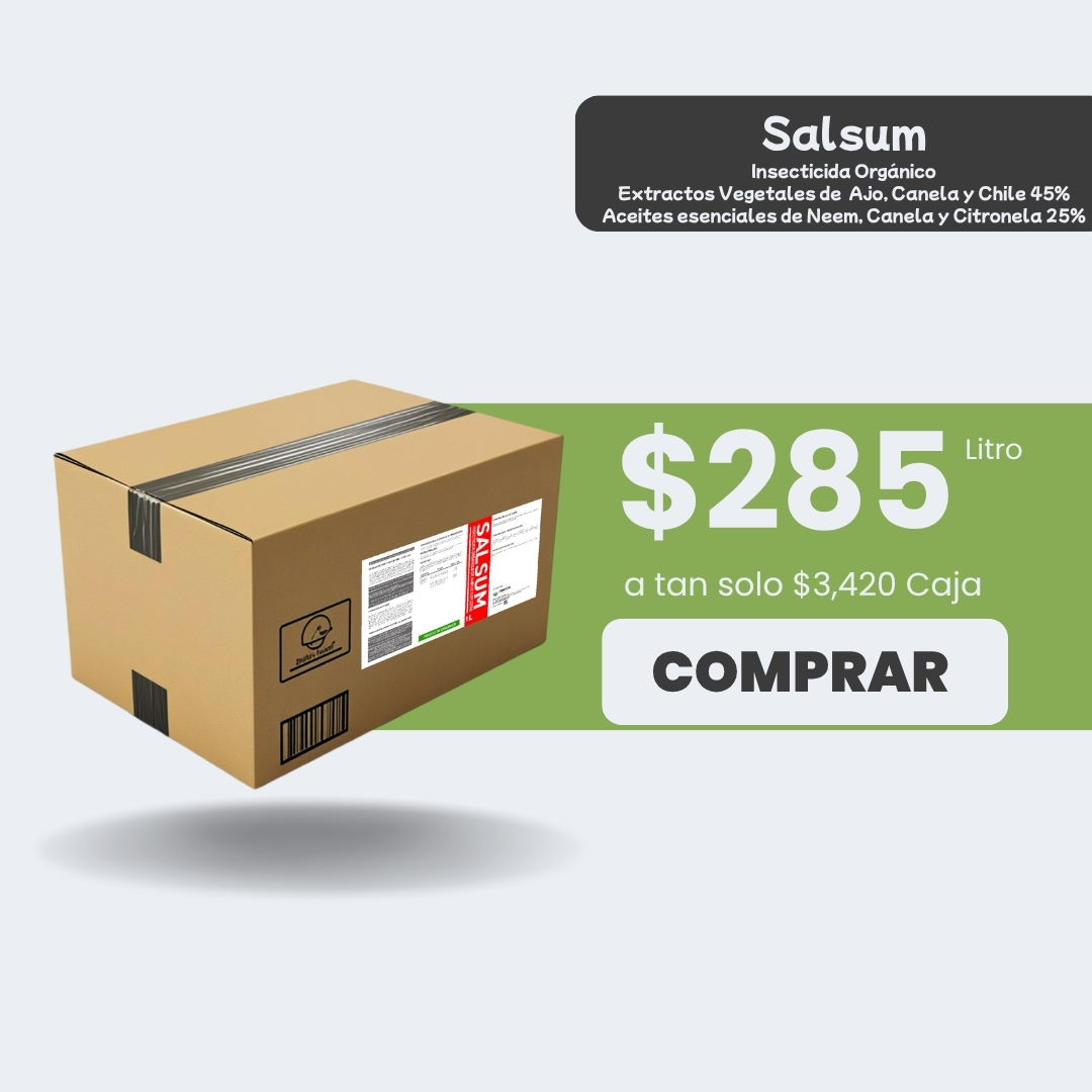 Salsum - Caja 12lt