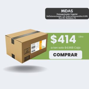 Midas - Caja 12lt