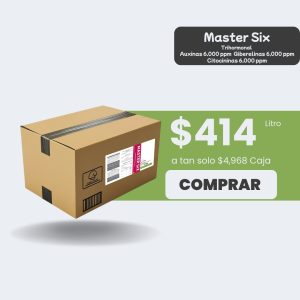 Master Six - Caja 12lt