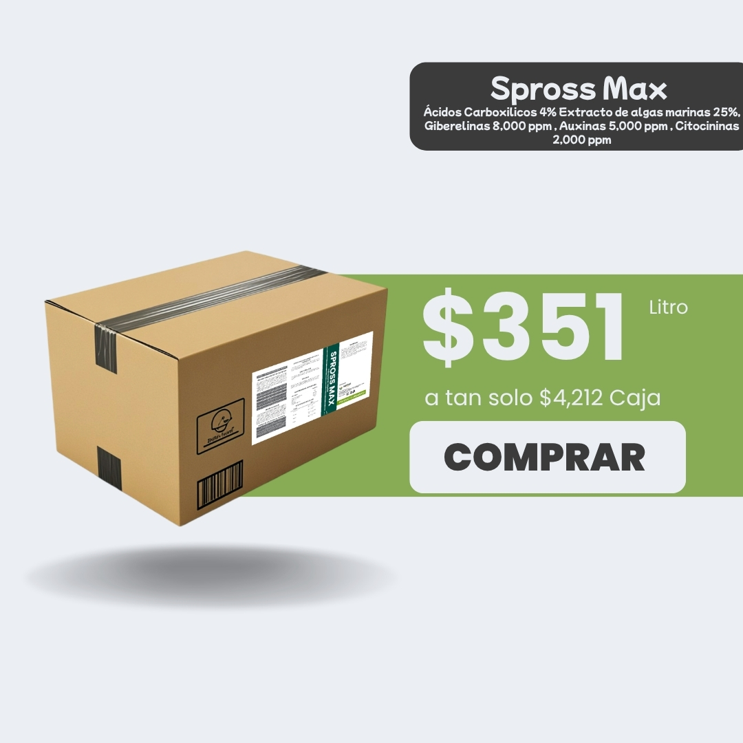 Spross Max - Caja 12lt