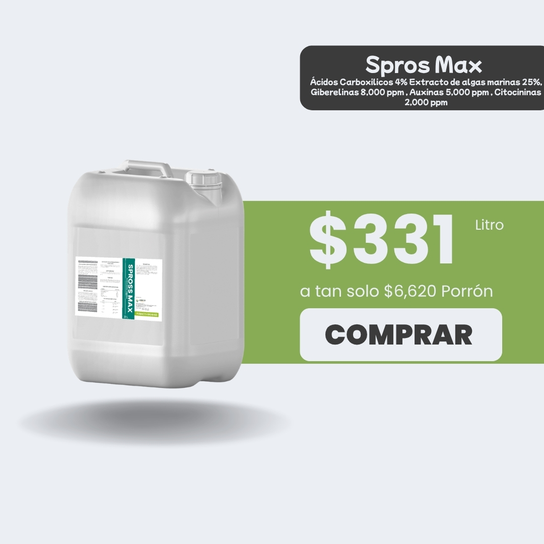 Spross Max - Porrón 20lt