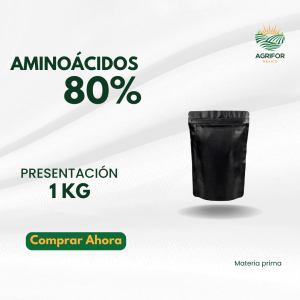 Aminoácidos 80%