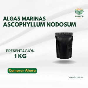 Extracto puro de Algas Marinas