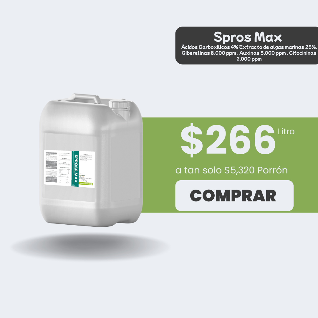 Spross Max - Porrón 20lt