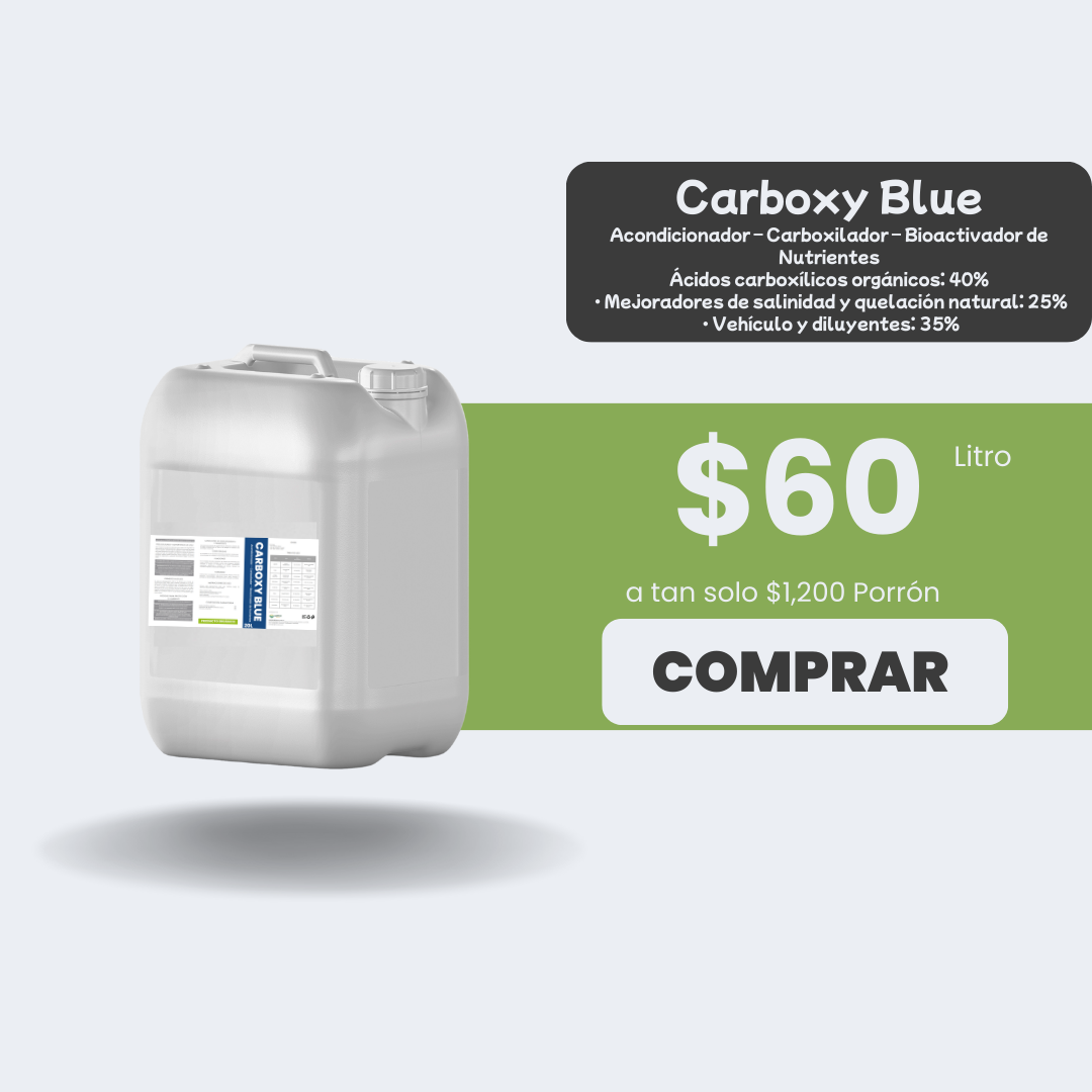 Carboxy Blue - 20L