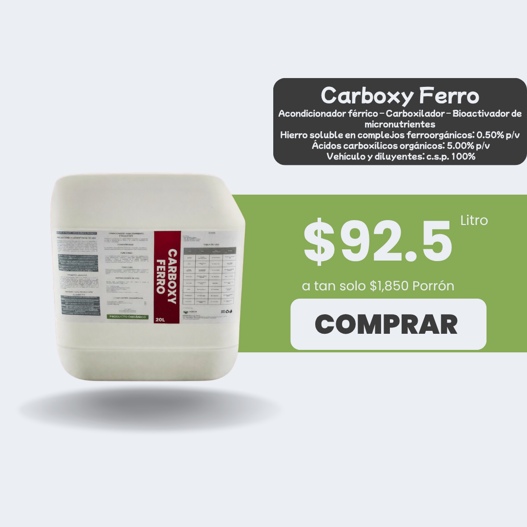 Carboxy Ferro 20L