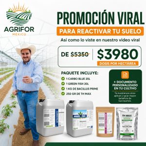 PAQUETE PARA REACTIVAR TU SUELO