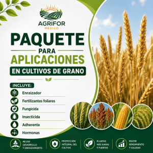 PAQUETE PARA GRANOS
