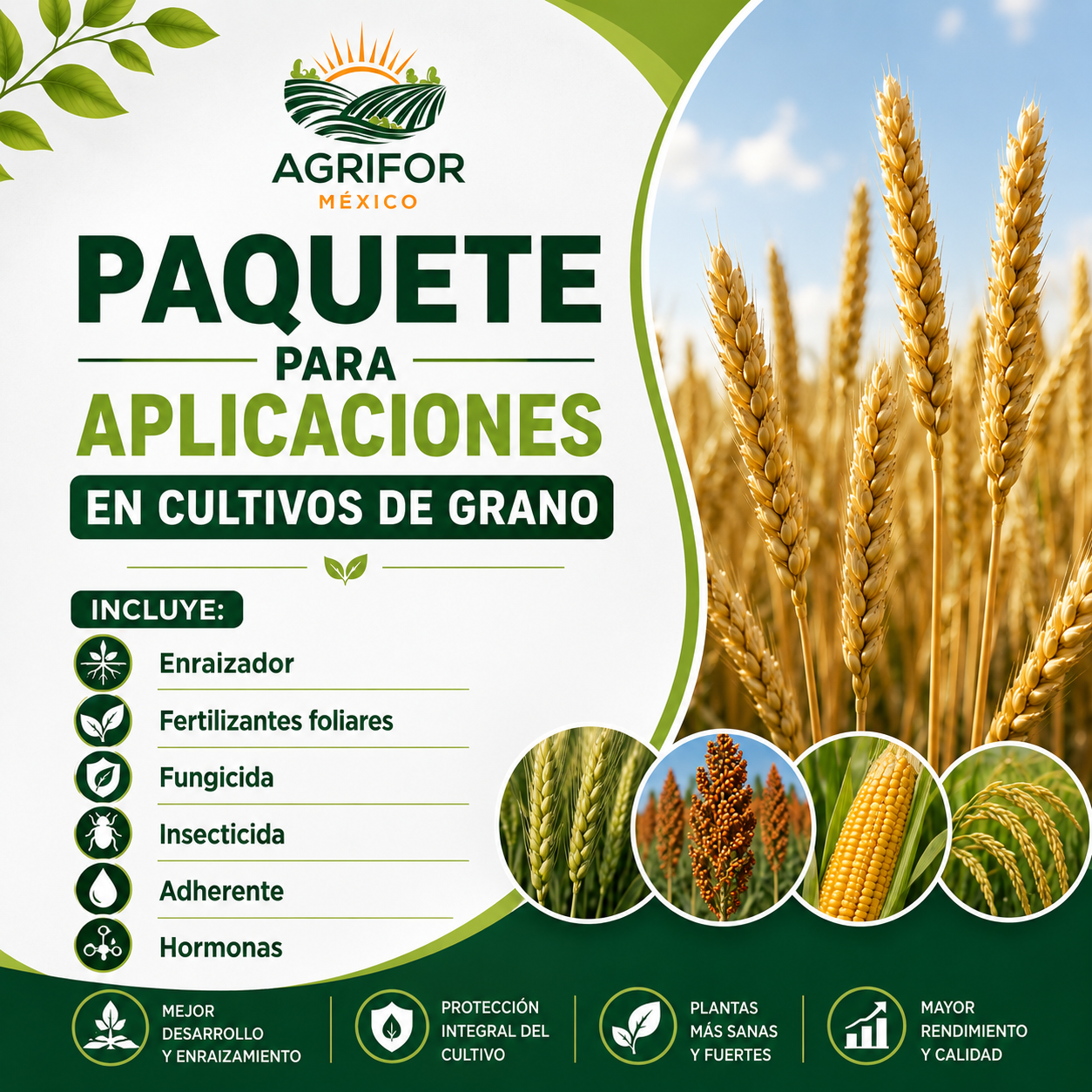 PAQUETE PARA GRANOS